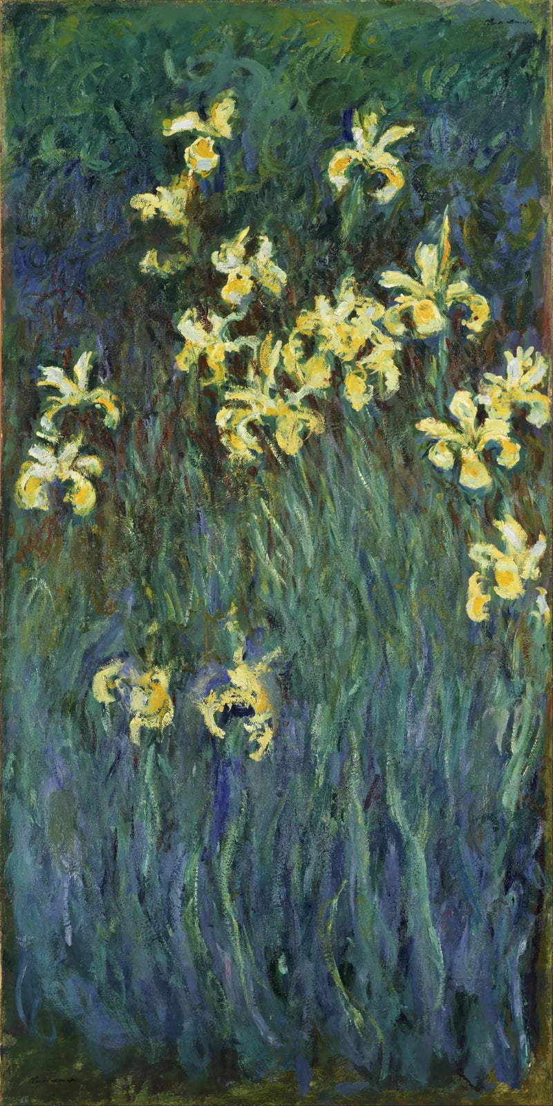 ดอกไอริสสีเหลือง - Claude Monet