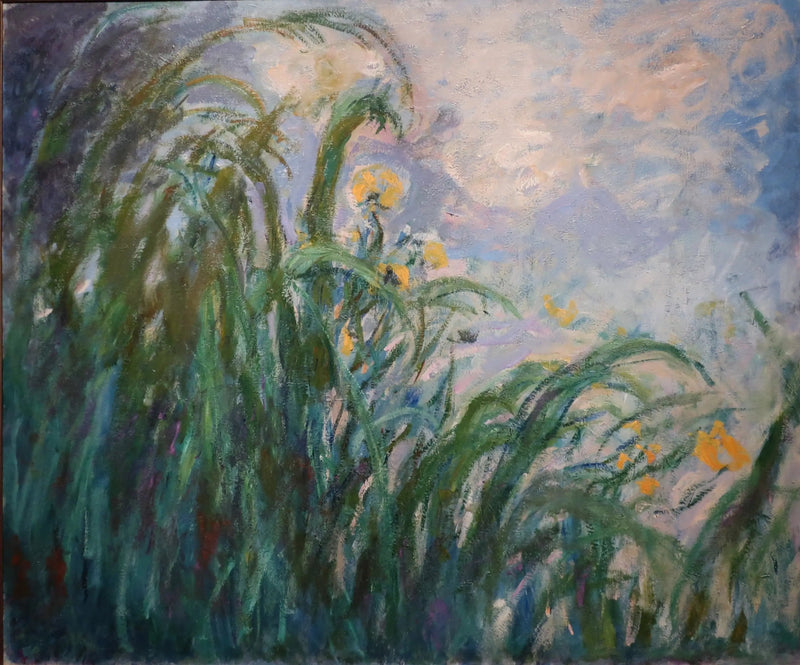 ดอกไอริสสีเหลือง - Claude Monet