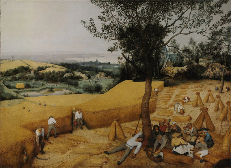 Les Moissonneurs - Pieter Brueghel the Elder
ผู้เก็บเกี่ยว - Pieter Brueghel the Elder