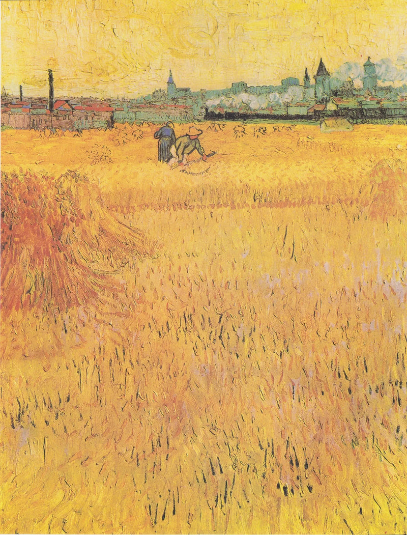 คนเกี่ยวข้าว - Vincent van Gogh