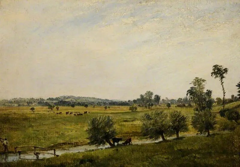 ทุ่งหญ้าชุ่มน้ำ Salisbury Wiltshire - จอห์น คอนสเทเบิล