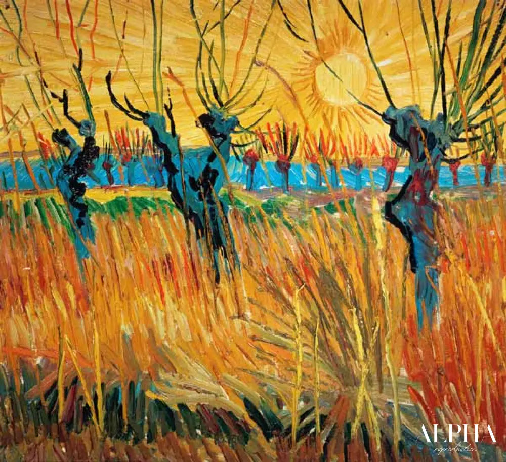 Les saules au soleil couchant - Van Gogh - Reproductions de tableaux et peintures haut de gamme