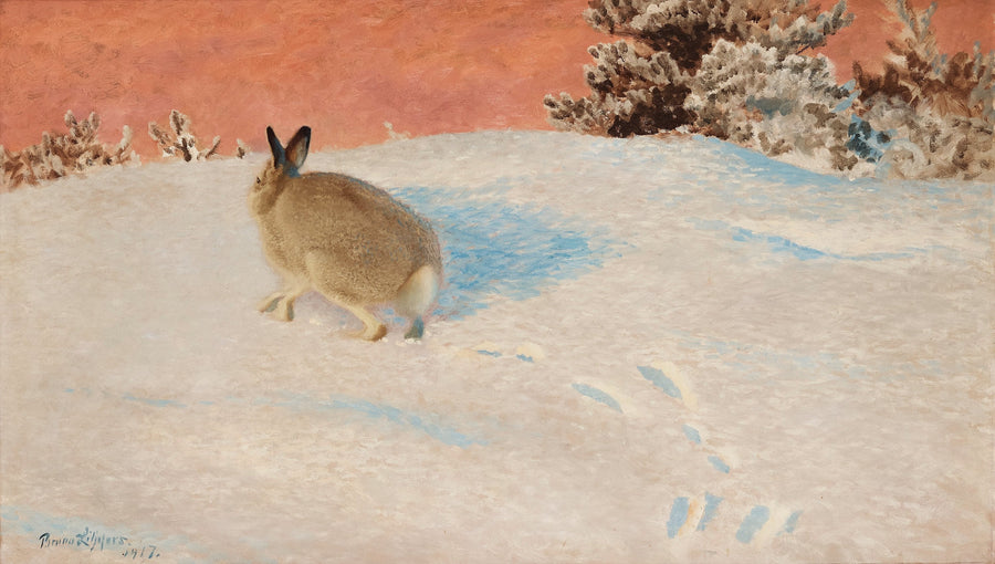 Lièvre dans un paysage d'hiver - Bruno Liljefors