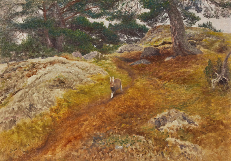 Lièvre dans un paysage forestier - Bruno Liljefors