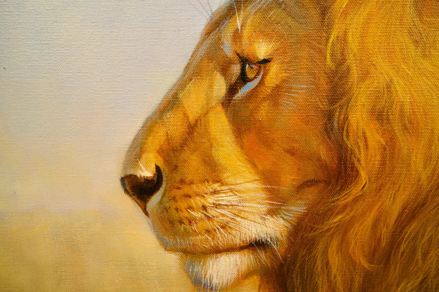 สิงโตในทุ่งหญ้าสะวันนา | 150x100ซม.