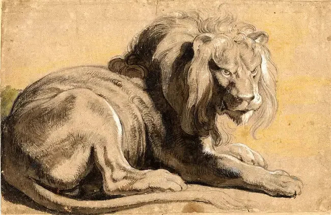 Lion - Peter Paul Rubens image 1 copie peinte à la main à l’huile