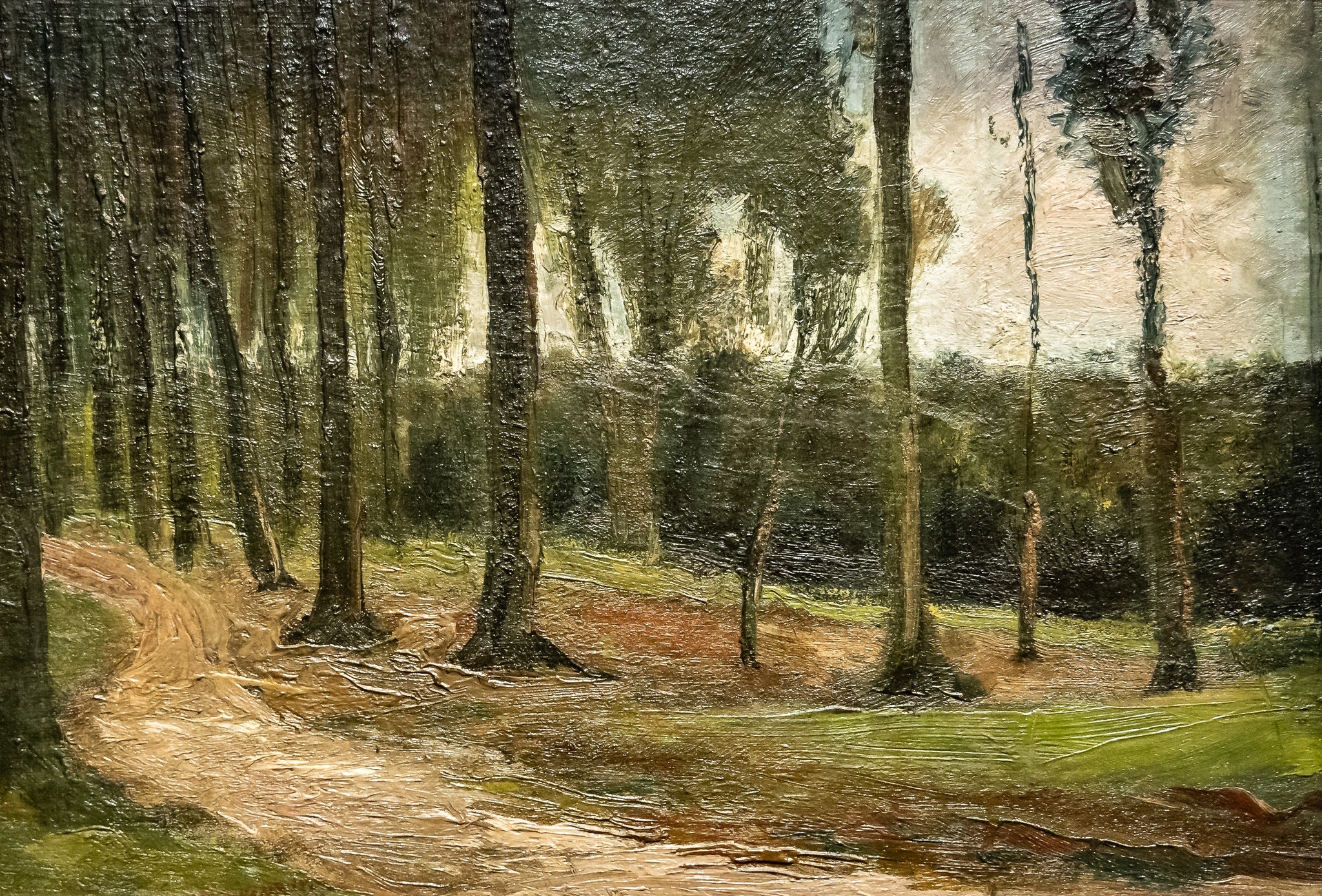 Lisière d’un bois F192 JH184 — Vincent van Gogh