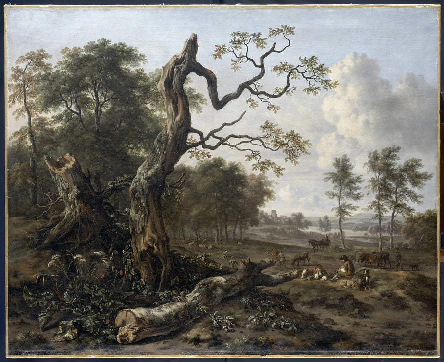 Lisière de forêt - Jan Wijnants