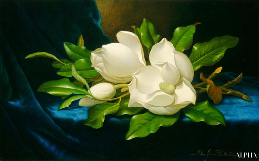 Magnolias géants sur un tissu de velours bleu - Martin Johnson Heade - Reproductions de tableaux et peintures haut de gamme