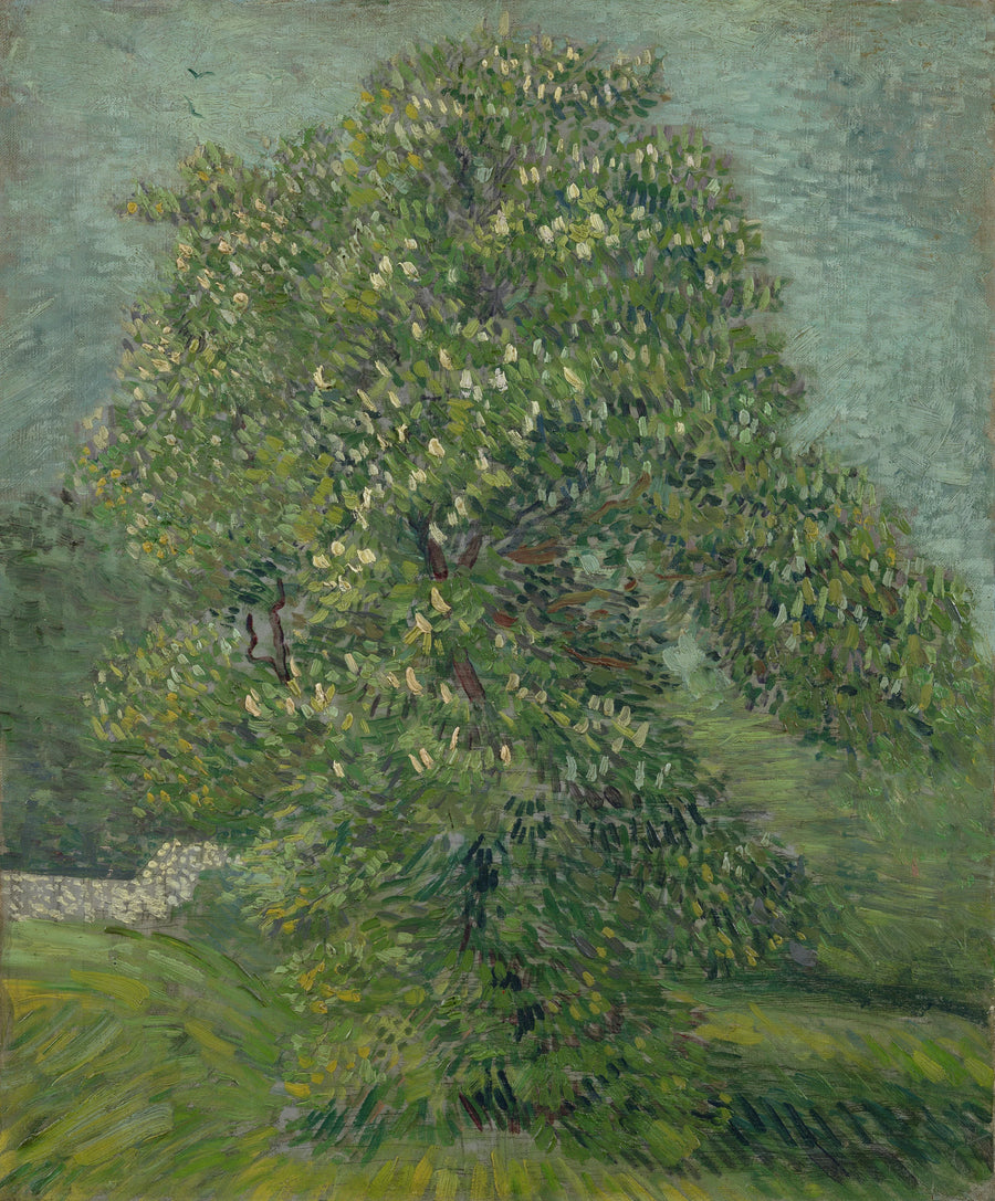 ต้นมารูนเนียร์อินเดียที่กำลังออกดอก - Vincent van Gogh