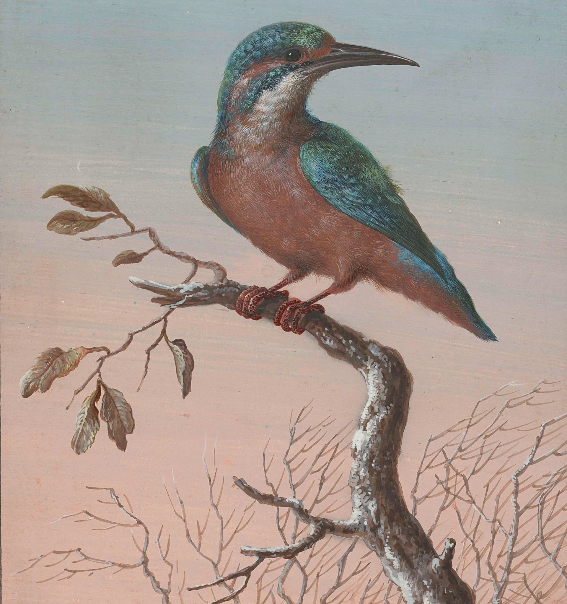Martin-pêcheur - Barbara Regina Dietzsch
