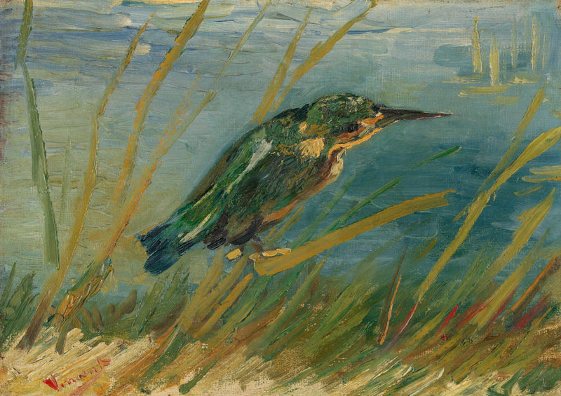 นกกระเต็นริมฝั่งน้ำ - Vincent van Gogh