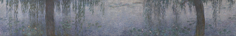 ดอกบัว - เช้าแจ่มใสกับต้นหลิว - Claude Monet