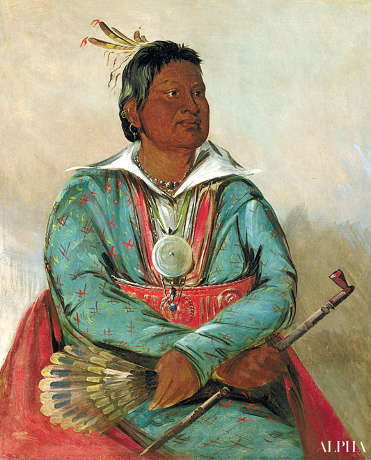 Mó-sho-la-túb-bee, He Who Puts Out and Kills, Chief of the Tribe - George Catlin - Reproductions de tableaux et peintures haut de gamme