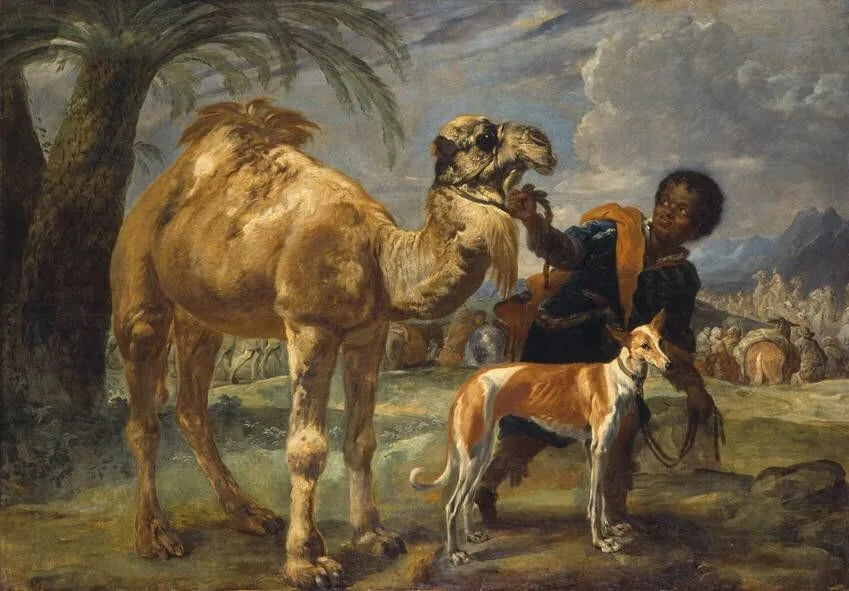 Mohr mit Windhund und Dromedar - Giovanni Benedetto Castiglione