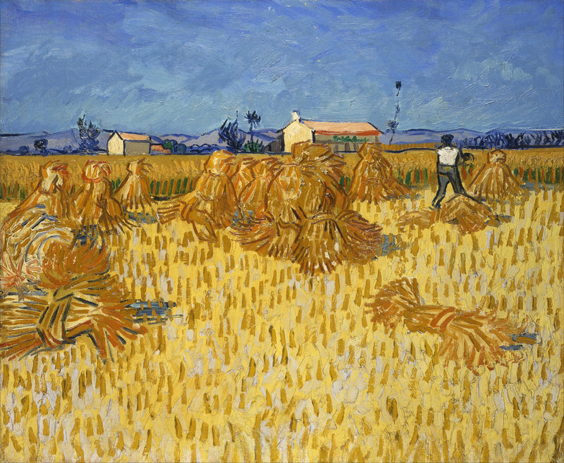 การเก็บเกี่ยวในโพรวองซ์ - Vincent van Gogh