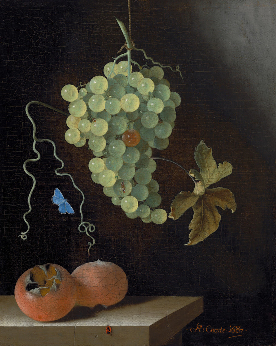 Nature morte avec une grappe de raisin suspendue, deux nèfles et un papillon - Adriaen Coorte
