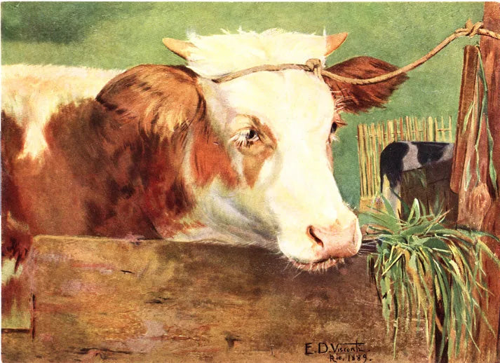 Novilho - Eliseu Visconti