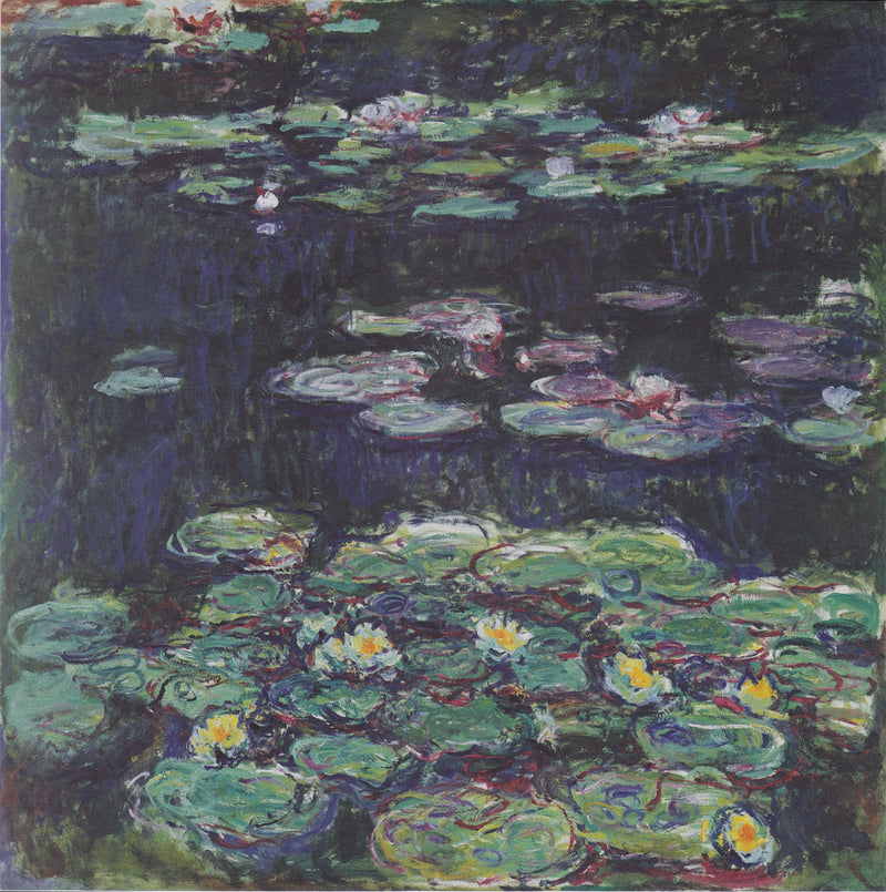 ดอกบัวสีขาวและสีเหลือง Winterthur W1801 - Claude Monet