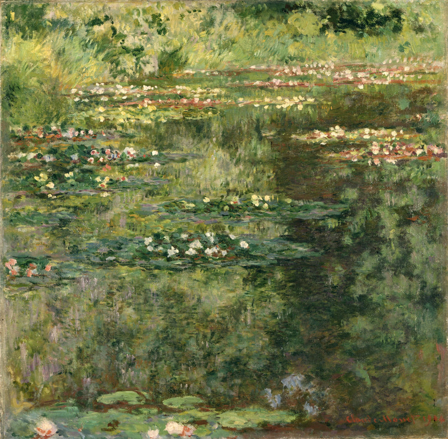 ดอกบัว - Claude Monet