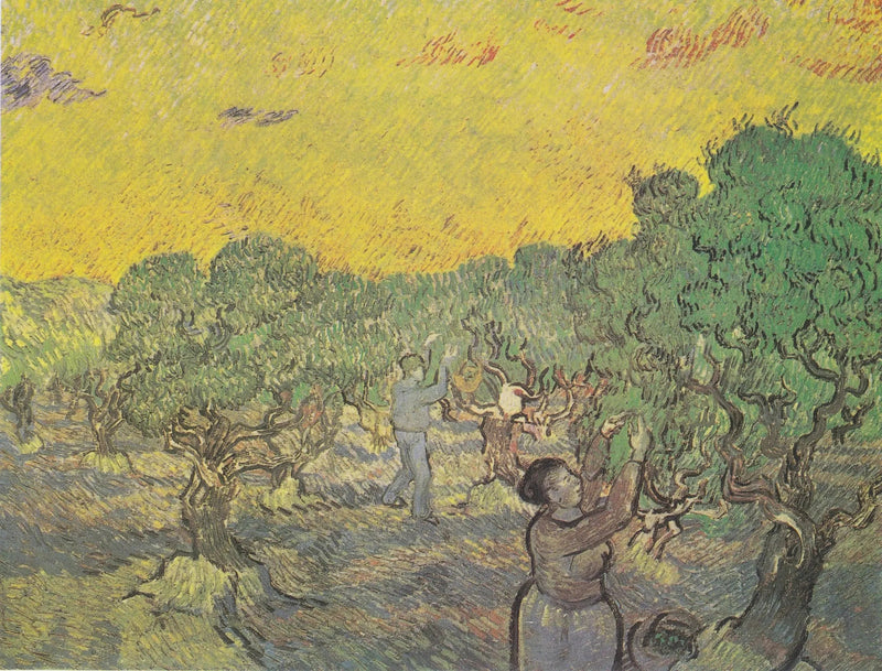 สวนมะกอกพร้อมรูปปั้นเก็บเกี่ยว - Vincent van Gogh