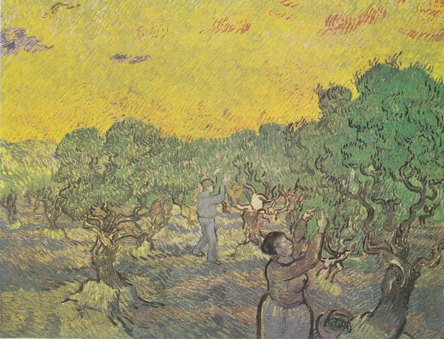 สวนมะกอกพร้อมรูปปั้นเก็บเกี่ยว - Vincent van Gogh