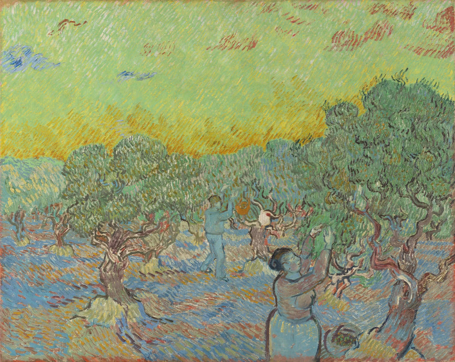 สวนมะกอกพร้อมรูปปั้นเก็บเกี่ยว - Vincent van Gogh