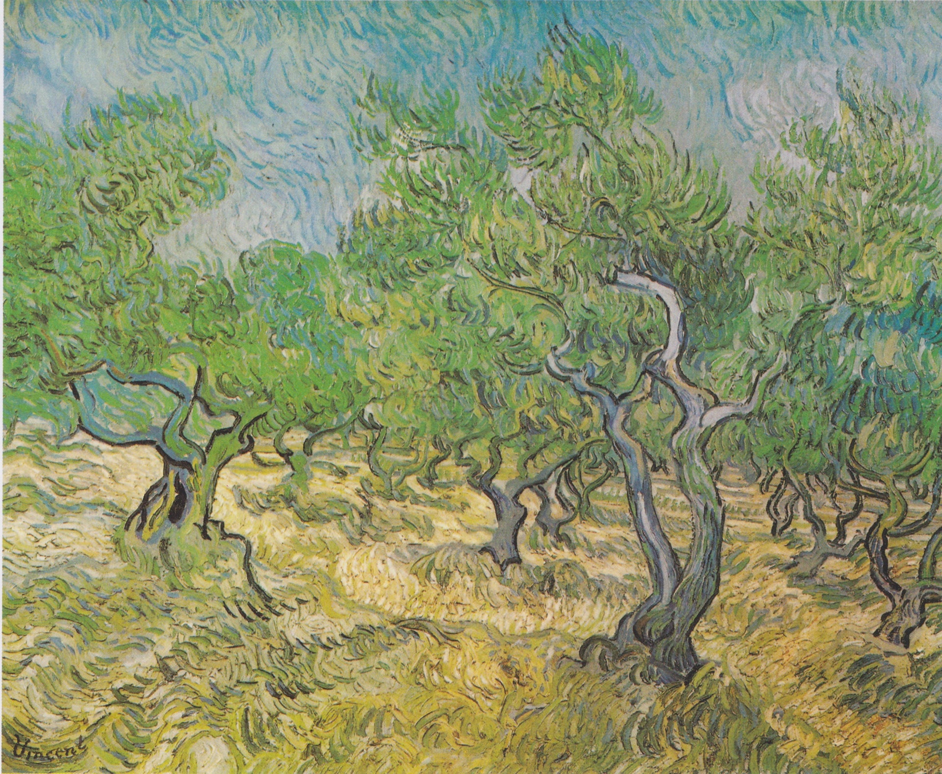 Oliveraie F585 de Vincent van Gogh – Kröller-Müller Museum