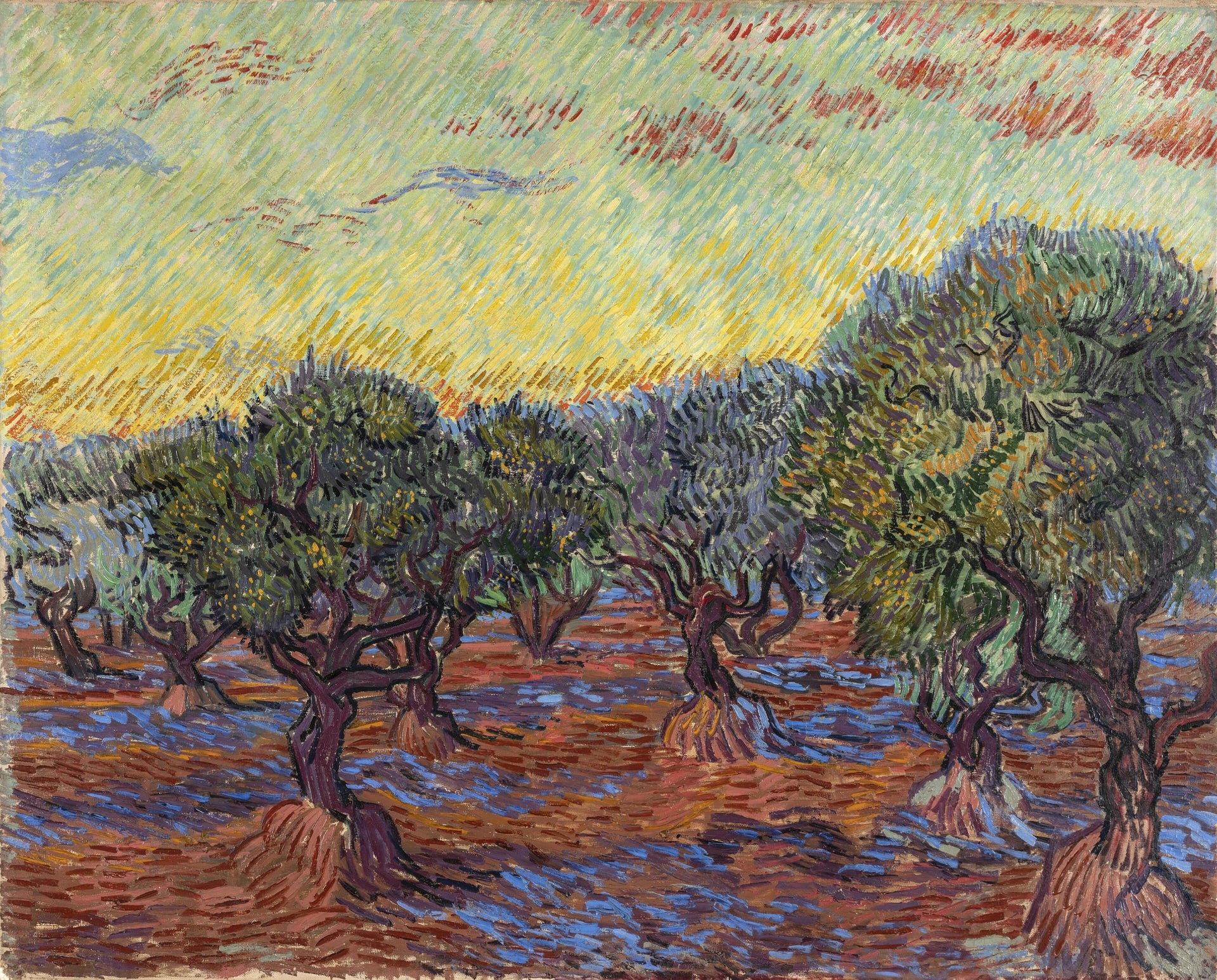 Oliveraie à Saint-Rémy de Vincent van Gogh, F586 JH1854, musée des Beaux-Arts de Göteborg