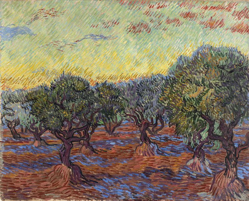 สวนมะกอก, แซงต์-เรมี - Vincent van Gogh
