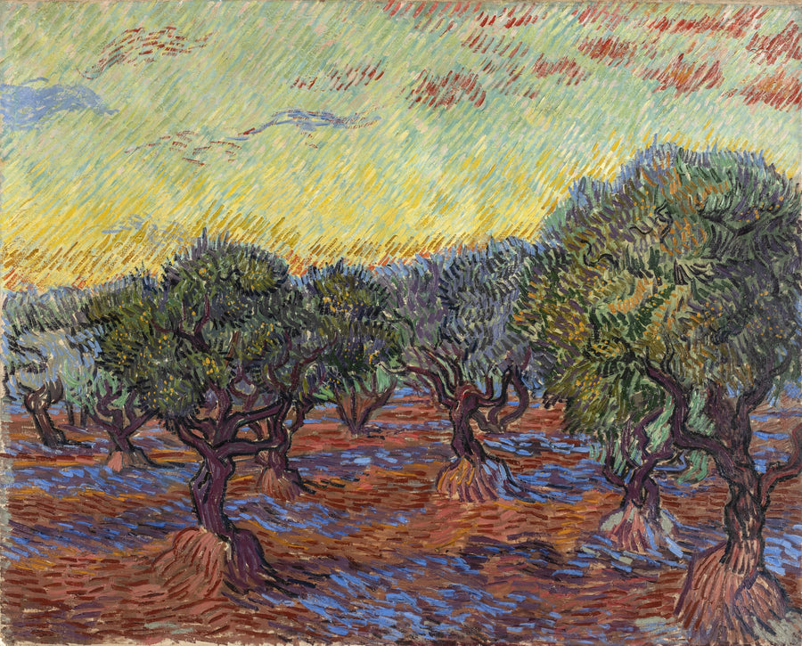 สวนมะกอก, แซงต์-เรมี - Vincent van Gogh