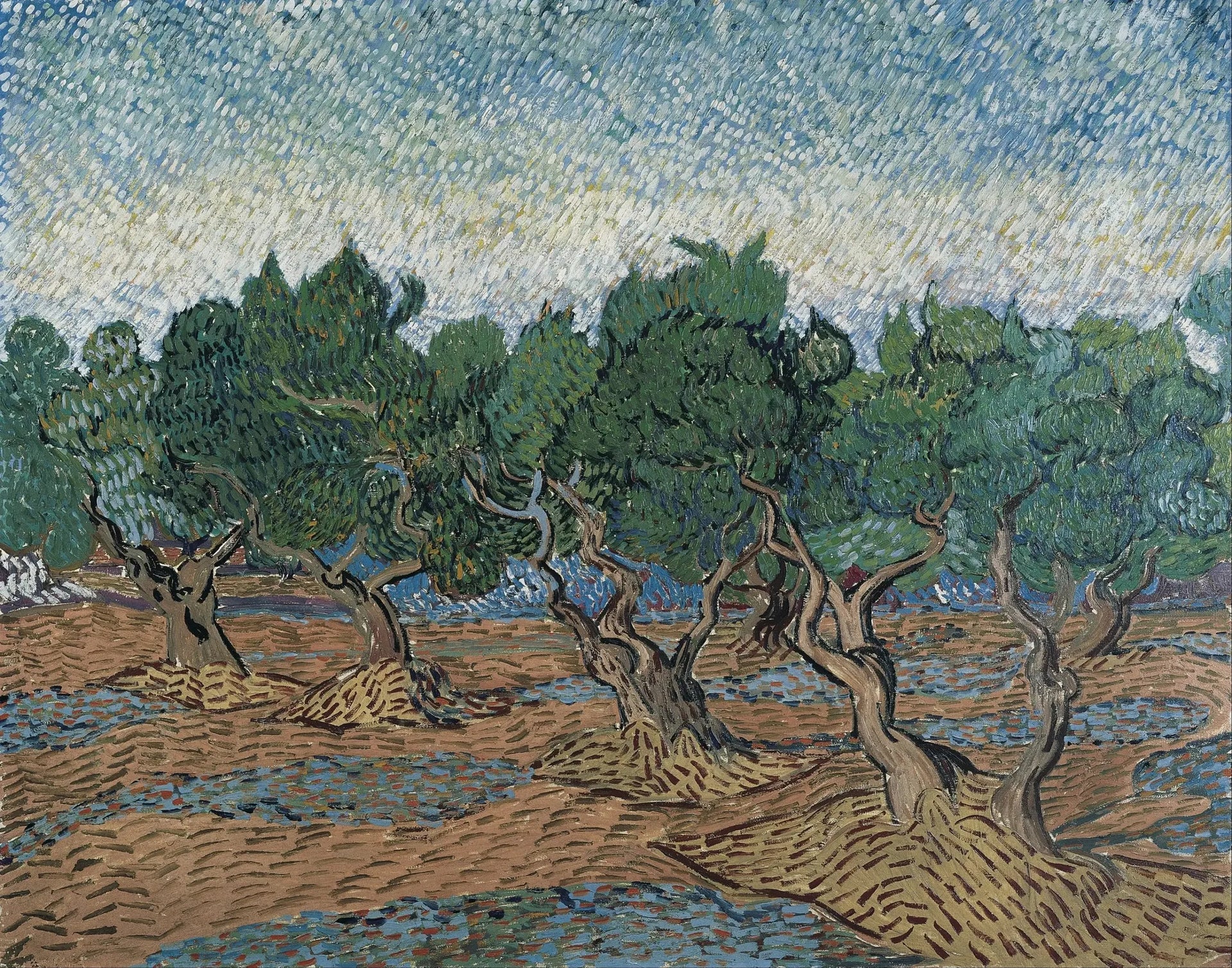 Oliveraie - Vincent van Gogh image 1 reproduction artisanale de tableau