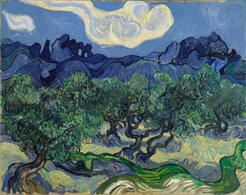 มะกอกกับภูเขา Alpilles ในพื้นหลัง - Vincent van Gogh