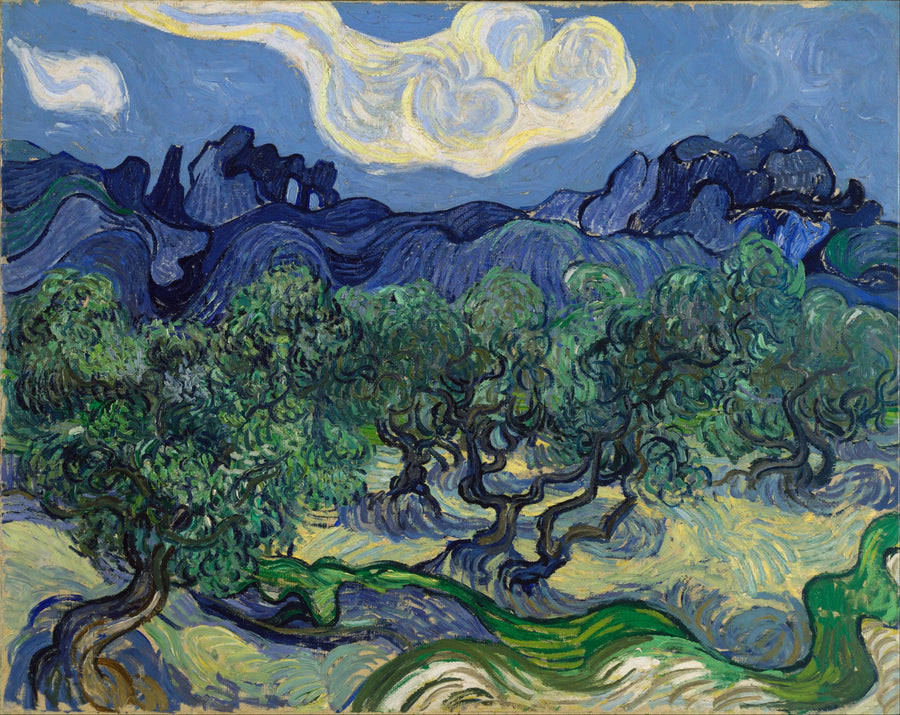 มะกอกกับภูเขา Alpilles ในพื้นหลัง - Vincent van Gogh