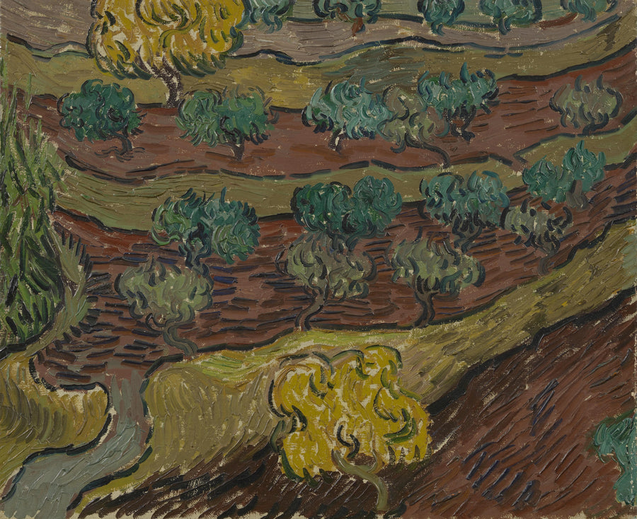 ต้นมะกอกบนเนินเขา - Vincent van Gogh