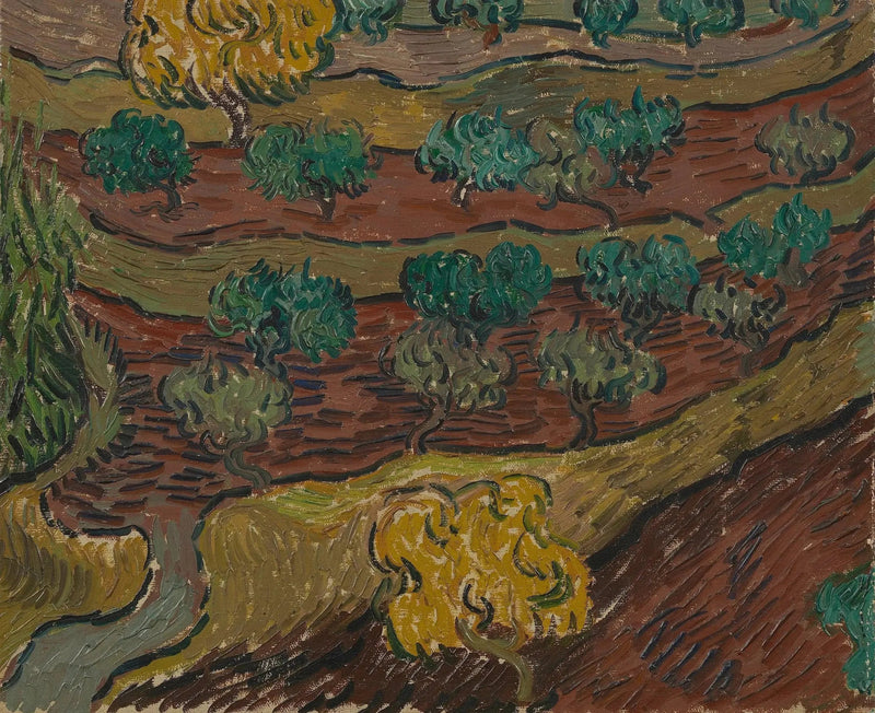 ต้นมะกอกบนเนินเขา - Vincent van Gogh