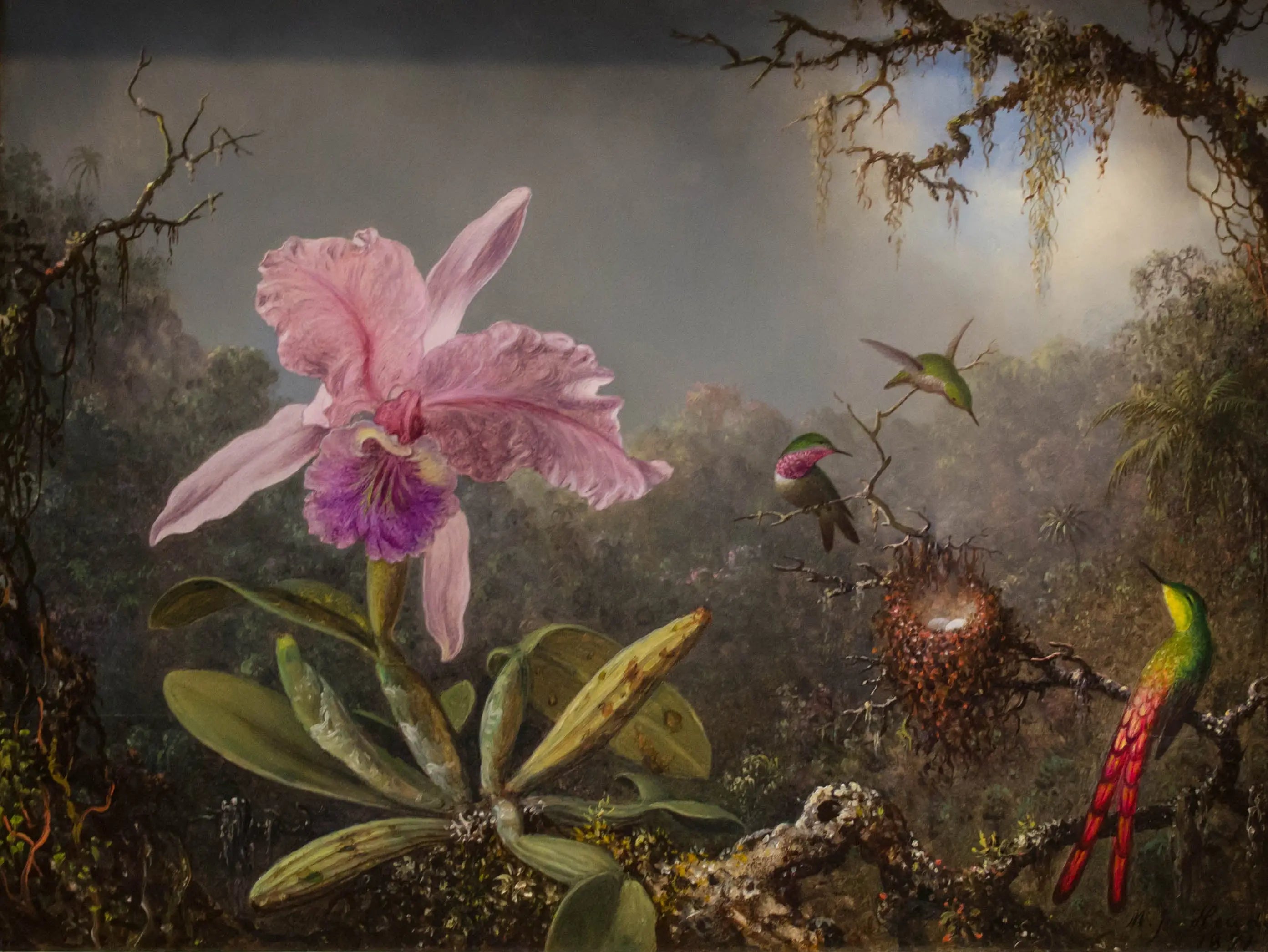 Orchidée Cattleya et trois colibris - Martin Johnson Heade image 1 tableau peint à l’huile sur toile