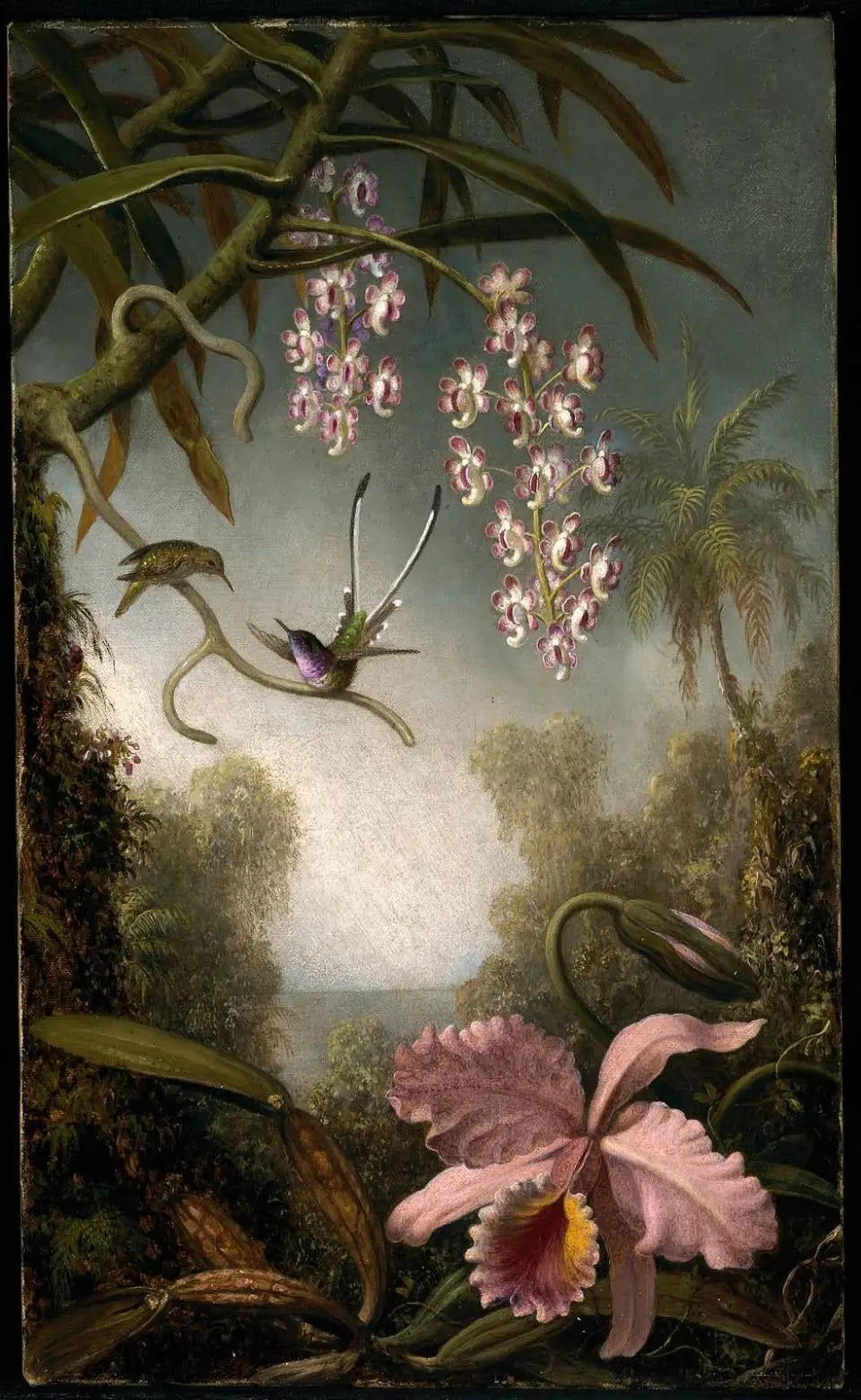 Orchidées et orchidées en spray avec colibri - Martin Johnson Heade image 1 tableau peint à l’huile sur toile