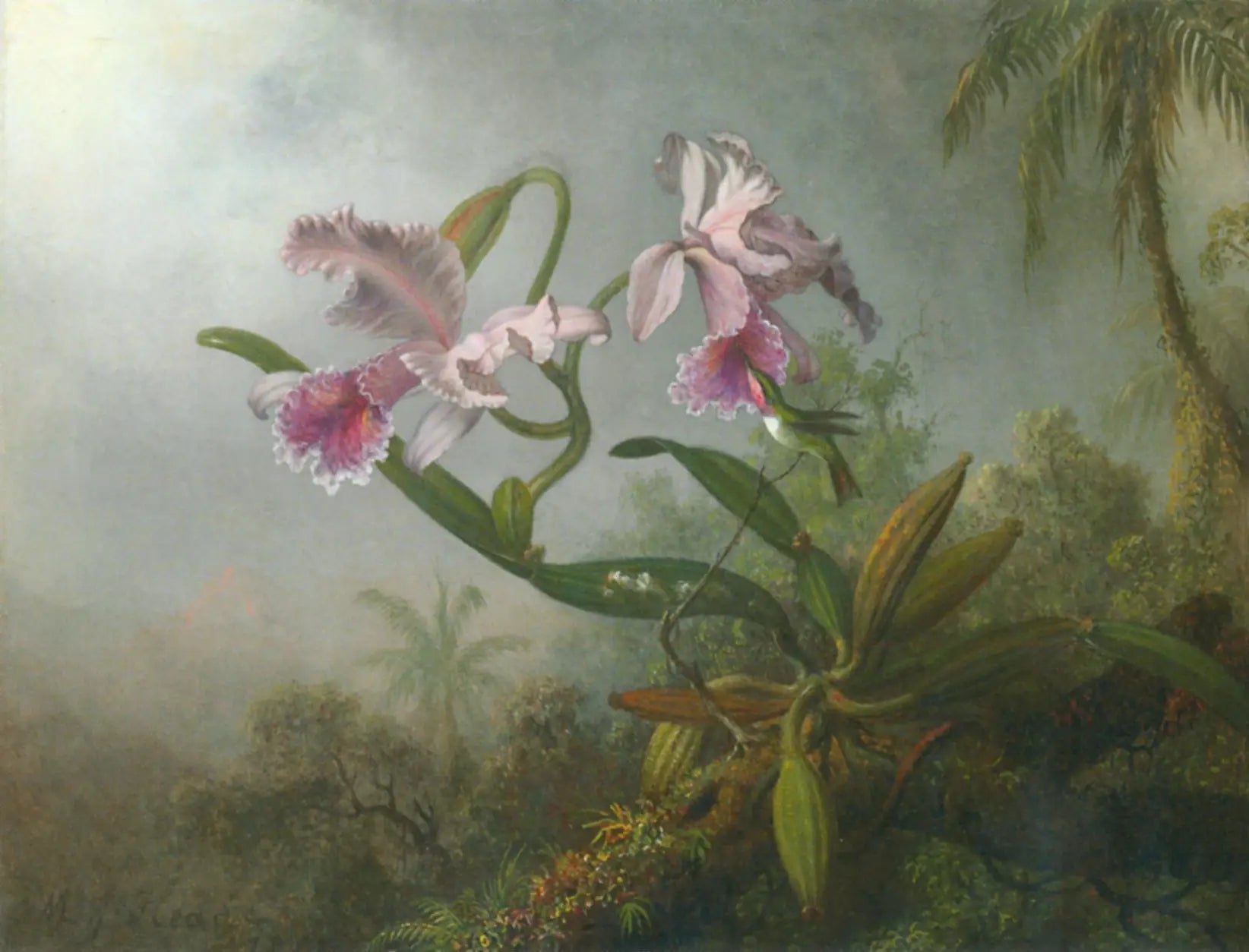 Orchidées roses et colibri sur une brindille - Martin Johnson Heade image 1 tableau peint à l’huile sur toile