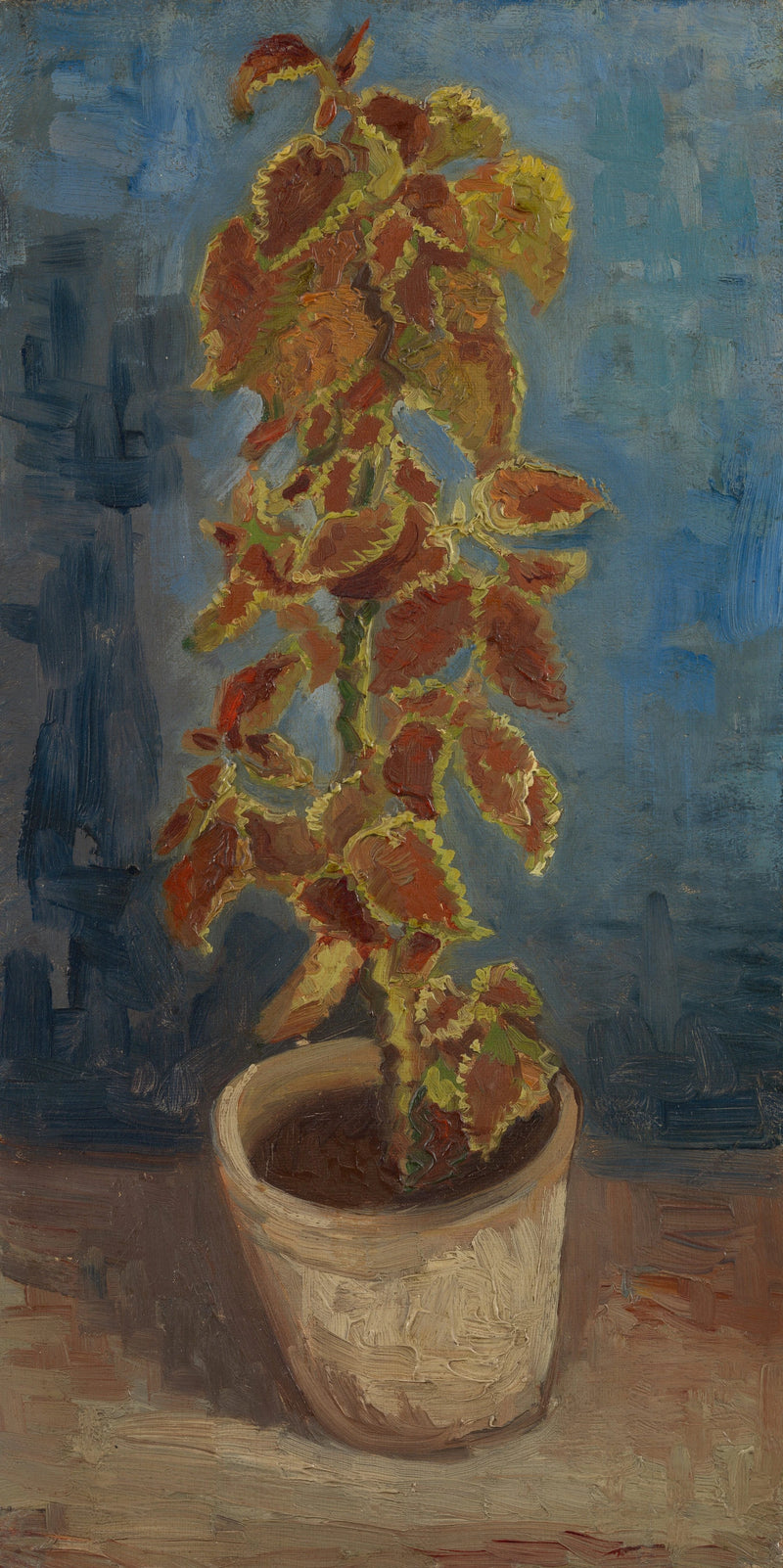 ต้นครั่งสีส้มในกระถางดอกไม้ - Vincent van Gogh