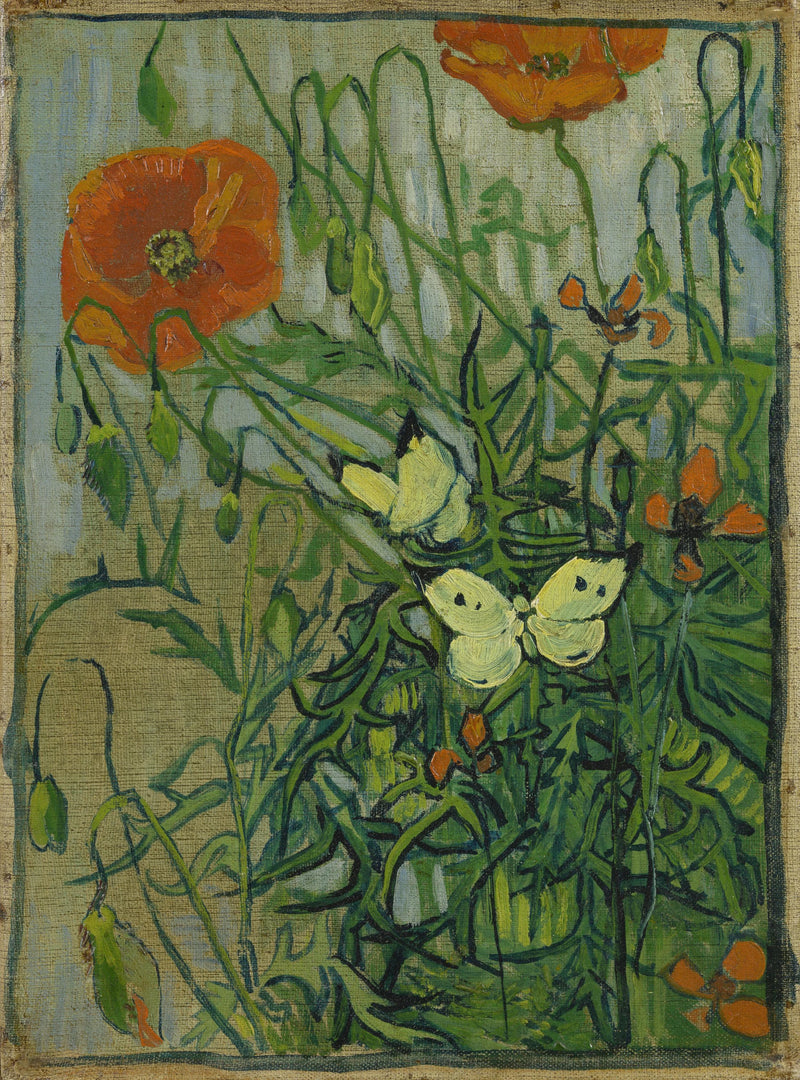 ผีเสื้อและดอกป๊อปปี้ - Vincent van Gogh
