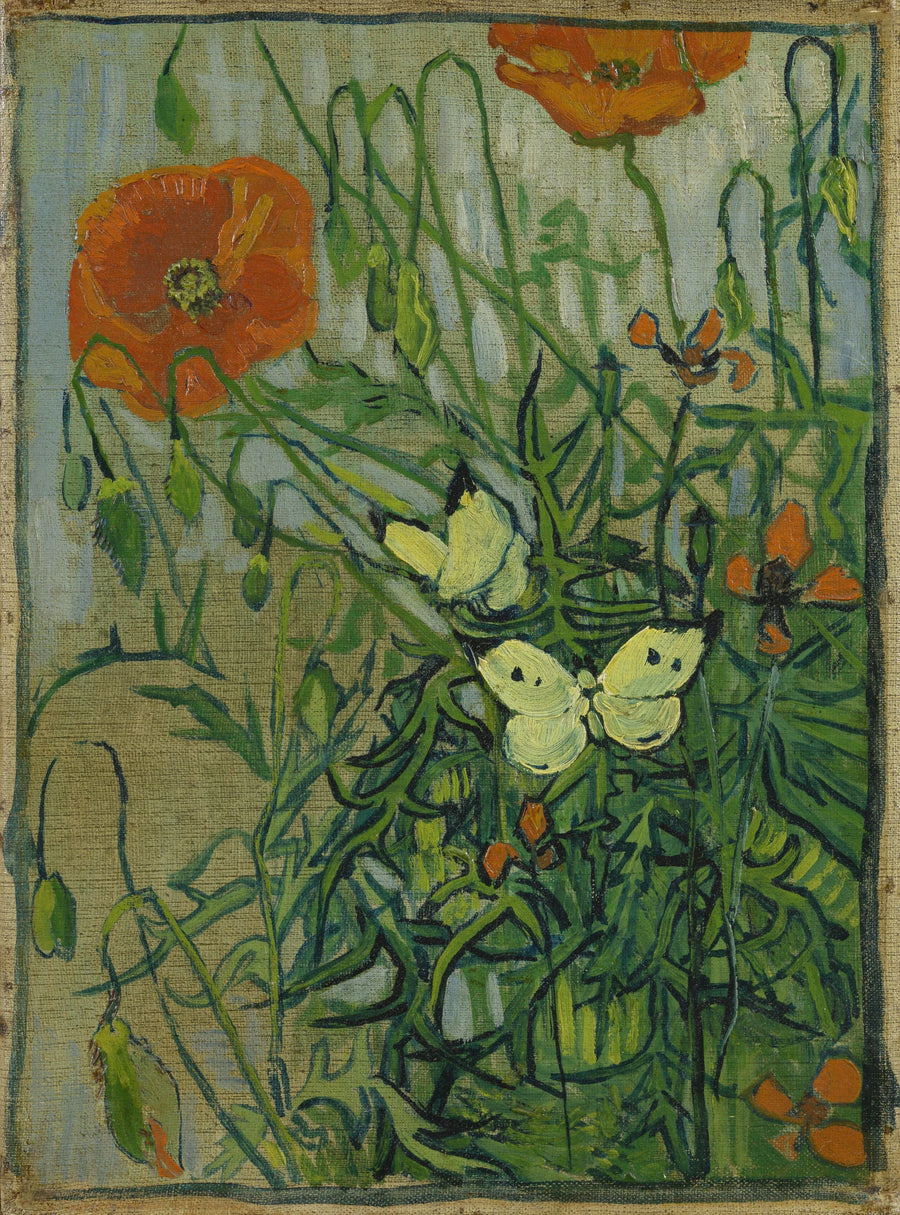 ผีเสื้อและดอกป๊อปปี้ - Vincent van Gogh