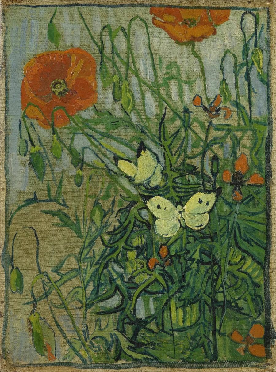 ผีเสื้อและดอกป๊อปปี้ - Vincent van Gogh