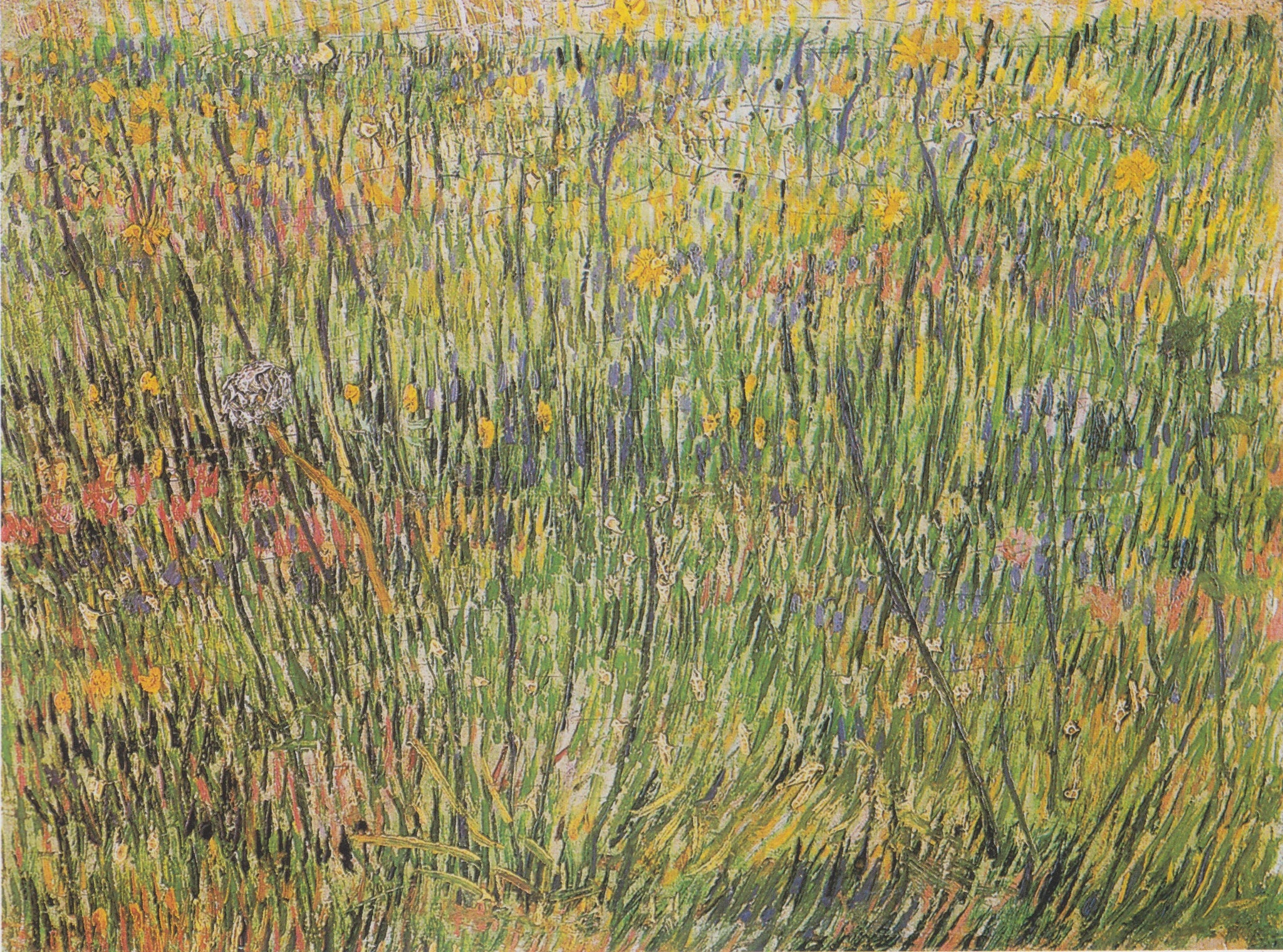 Pâturage en fleurs ou Carré d’herbe F583 de Vincent van Gogh