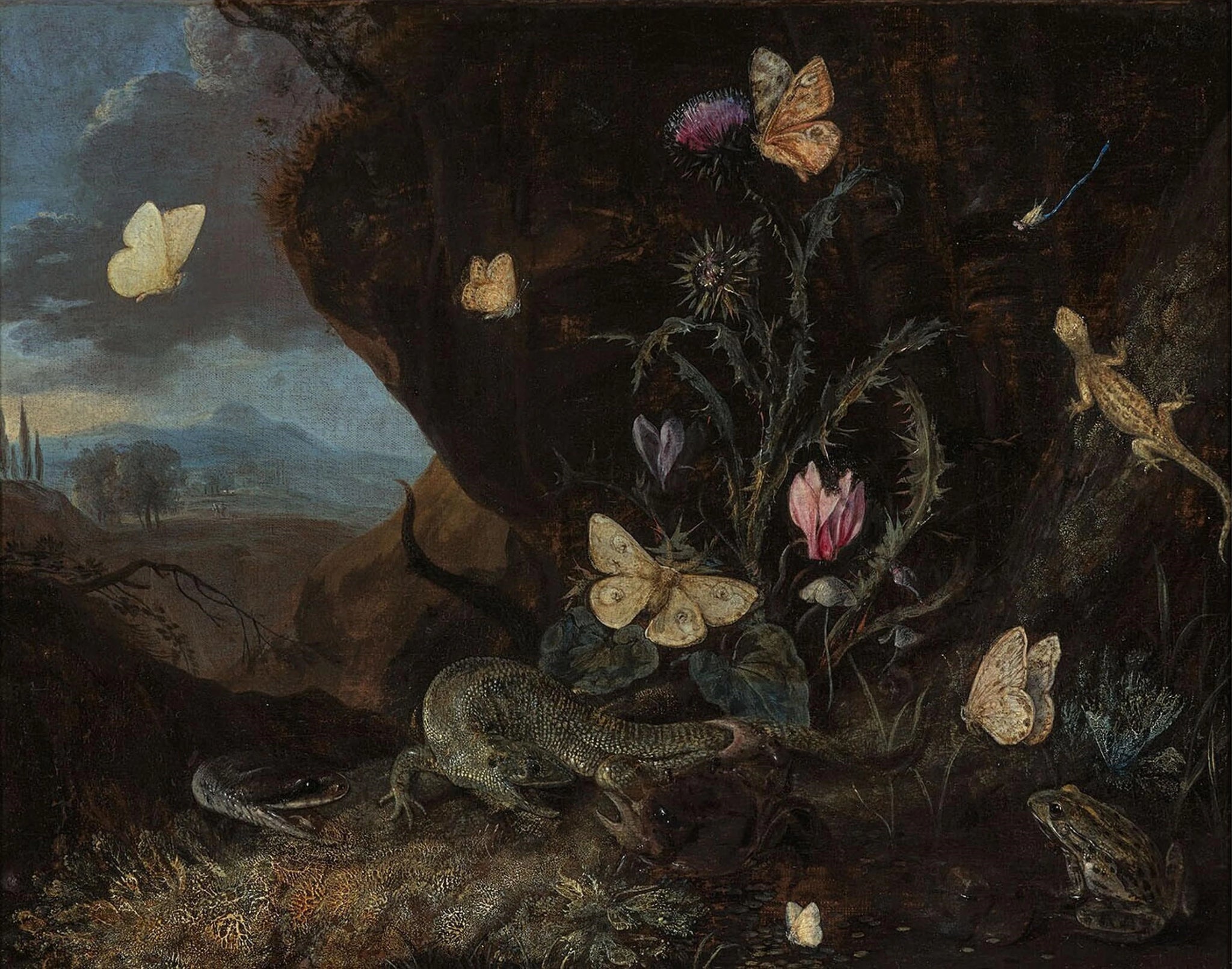 Paysage avec insectes, cyclamen et chardon - Otto Marseus van Schrieck