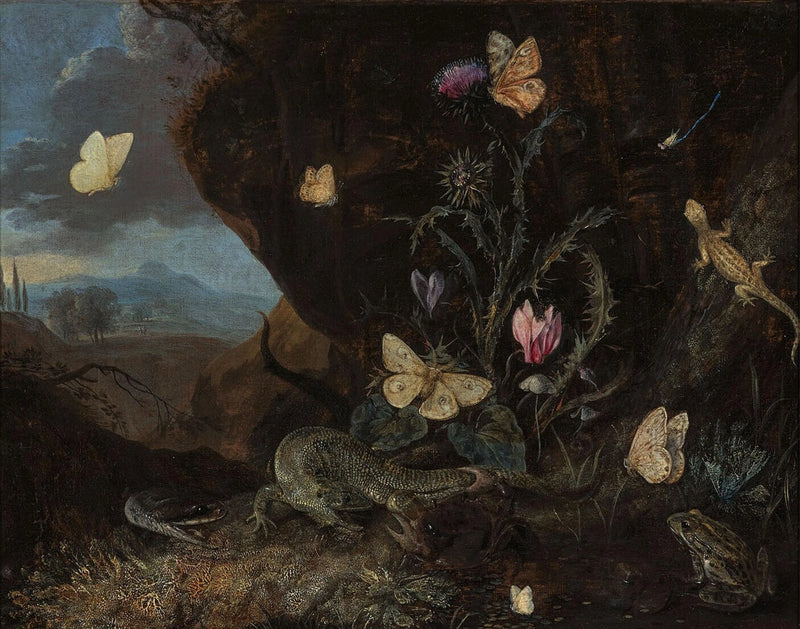 Paysage avec insectes, cyclamen et chardon - Otto Marseus van Schrieck