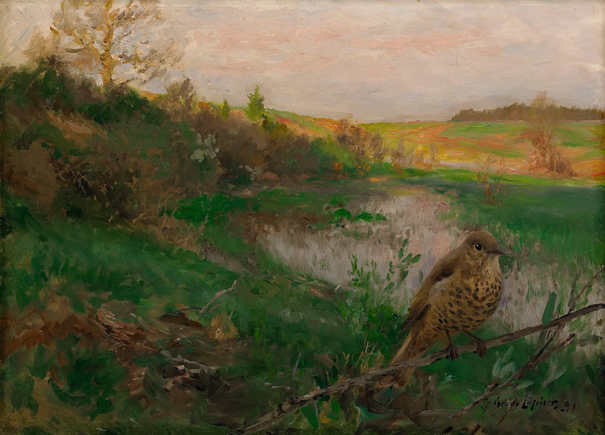 Paysage avec une grive musicienne au bord de l'eau - Bruno Liljefors image 1 reproduction d’œuvre d’art à l’huile