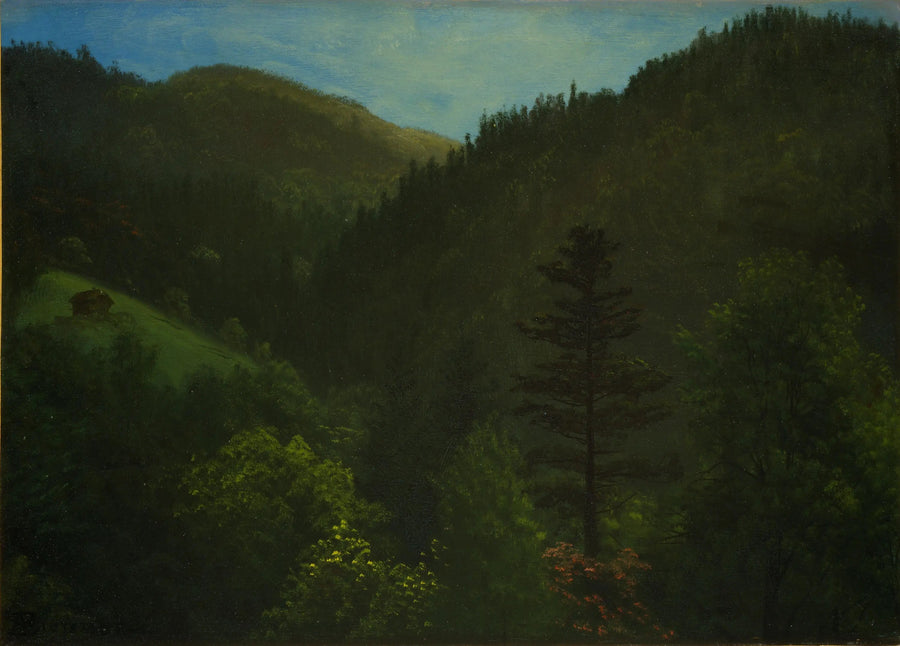 ทัศนียภาพป่าไม้ - Albert Bierstadt