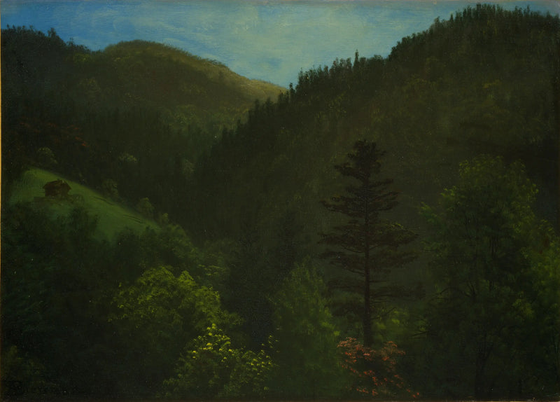 ทัศนียภาพป่าไม้ - Albert Bierstadt