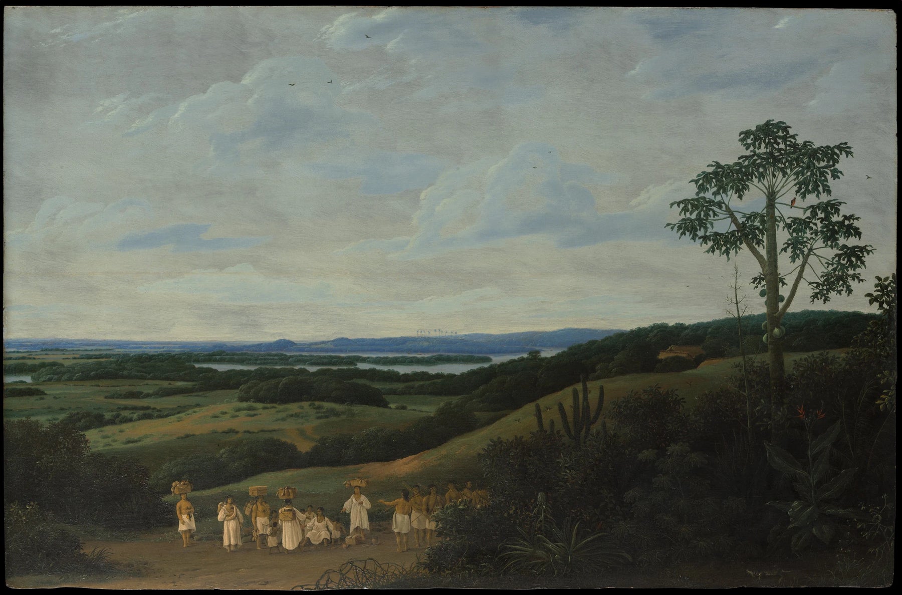 Un paysage brésilien - Frans Post